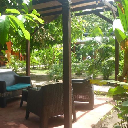 Aracari Garden Hostel 托尔图格罗 外观 照片