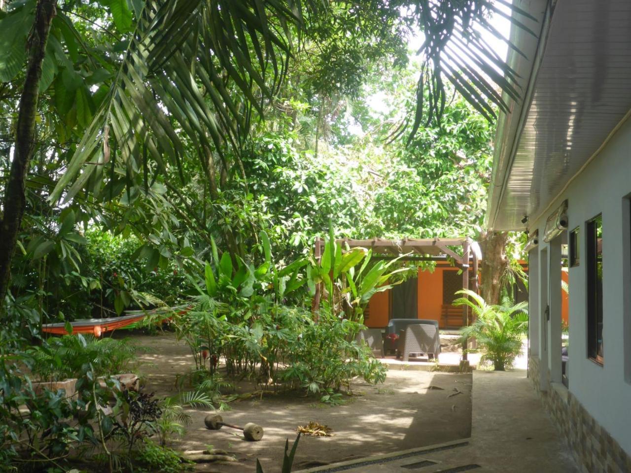 Aracari Garden Hostel 托尔图格罗 外观 照片