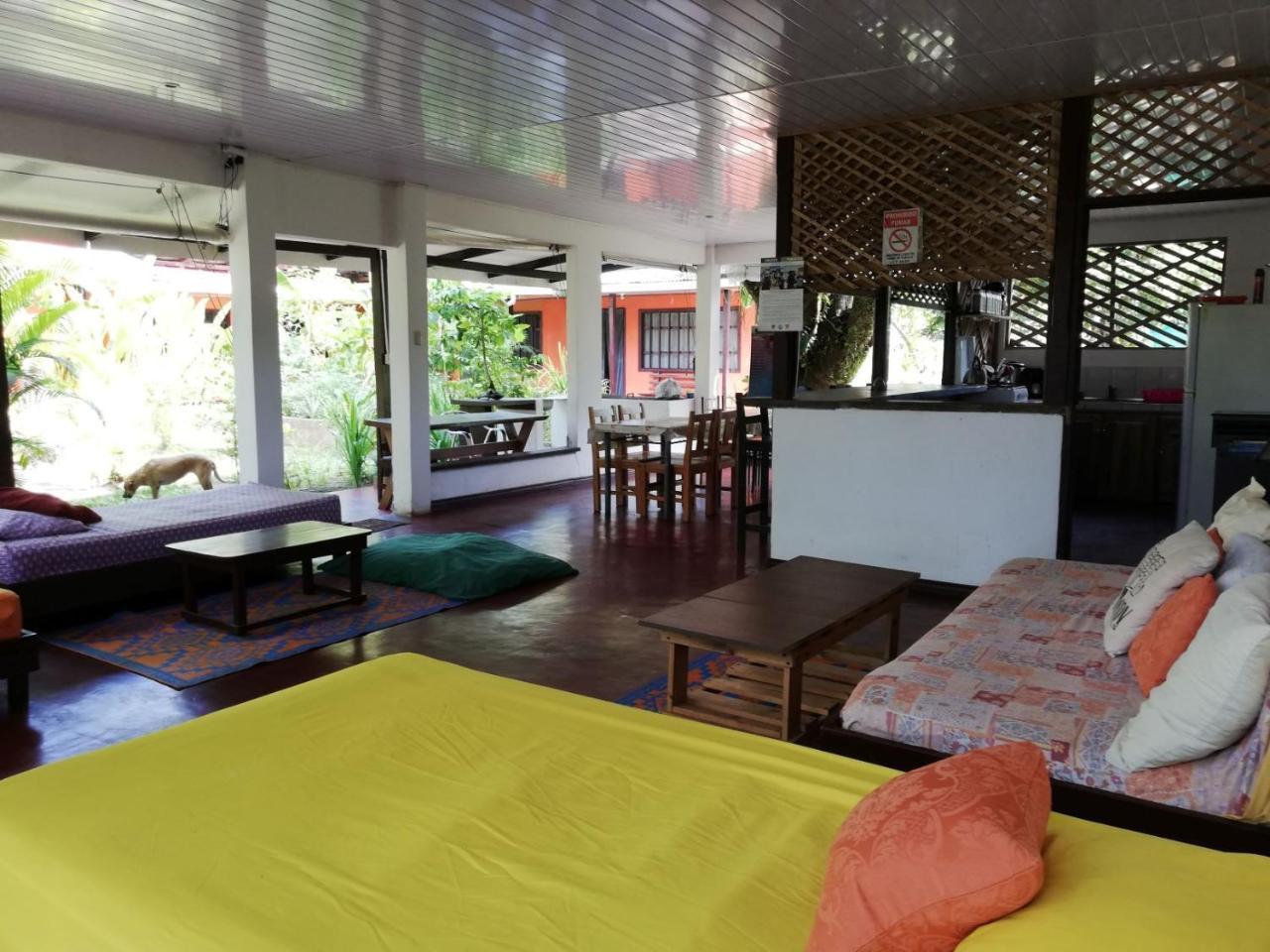 Aracari Garden Hostel 托尔图格罗 外观 照片